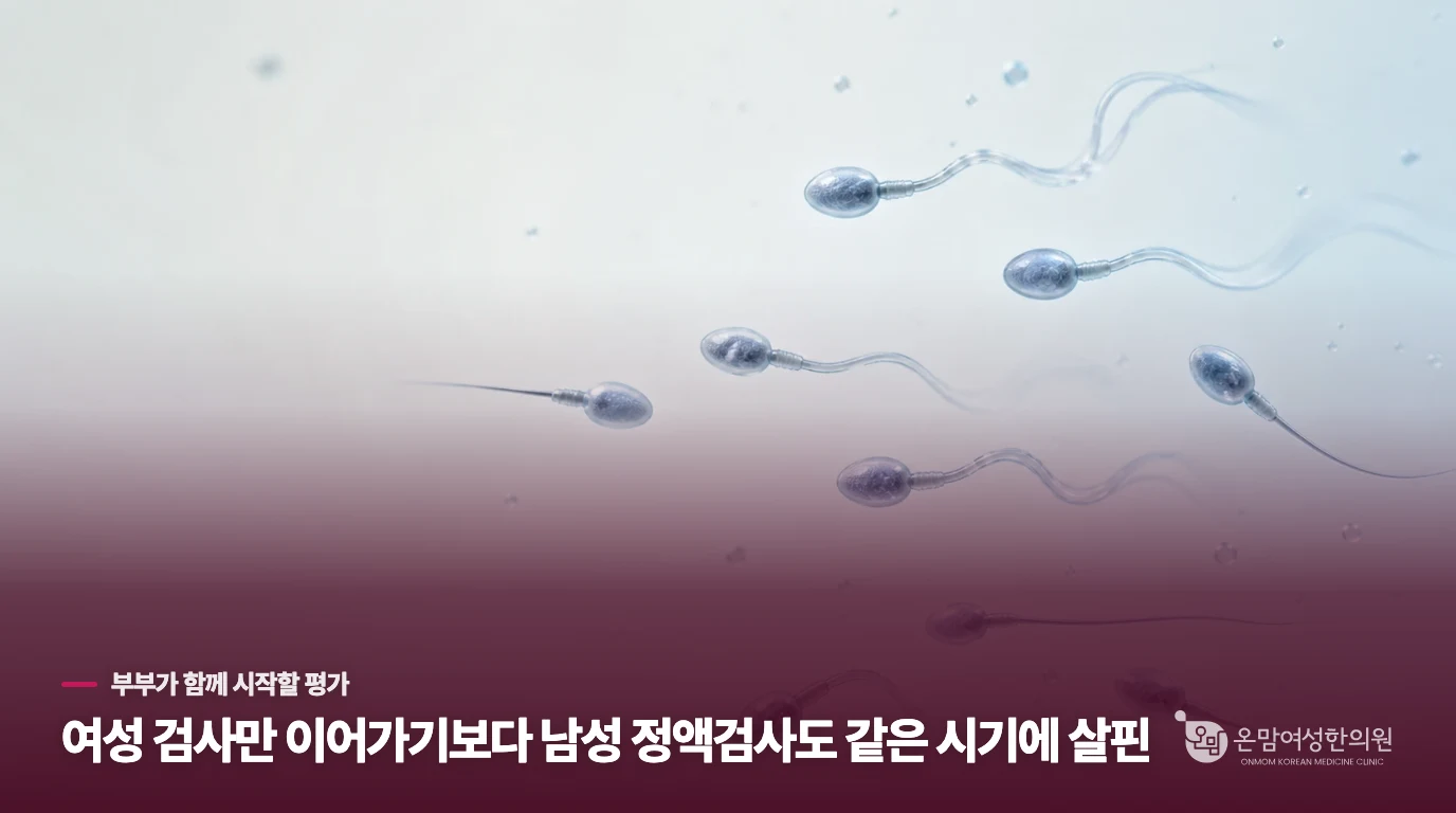배우자 검사만 이어질 때, 남성 쪽도 같은 시기에 살펴야 합니다