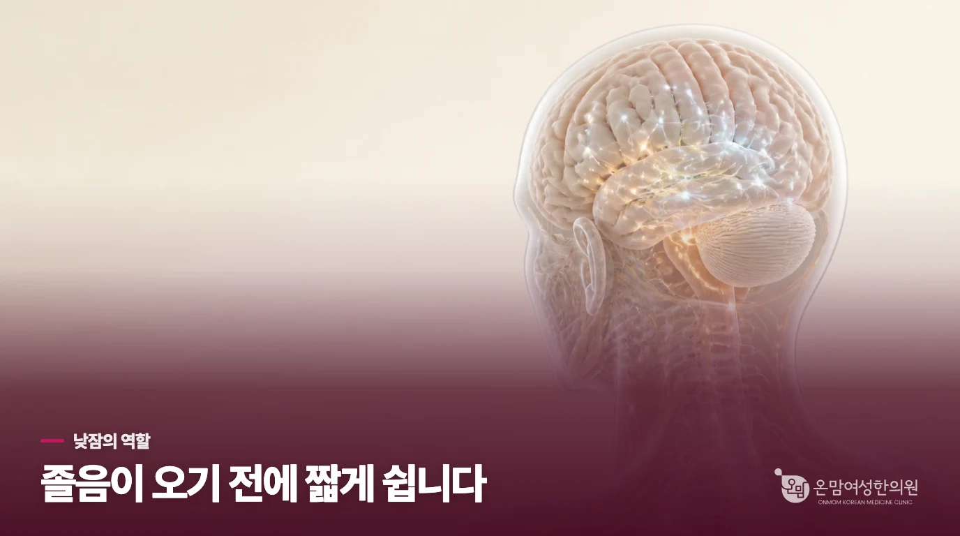 기면증의 낮잠은 졸음이 몰리기 전에 씁니다