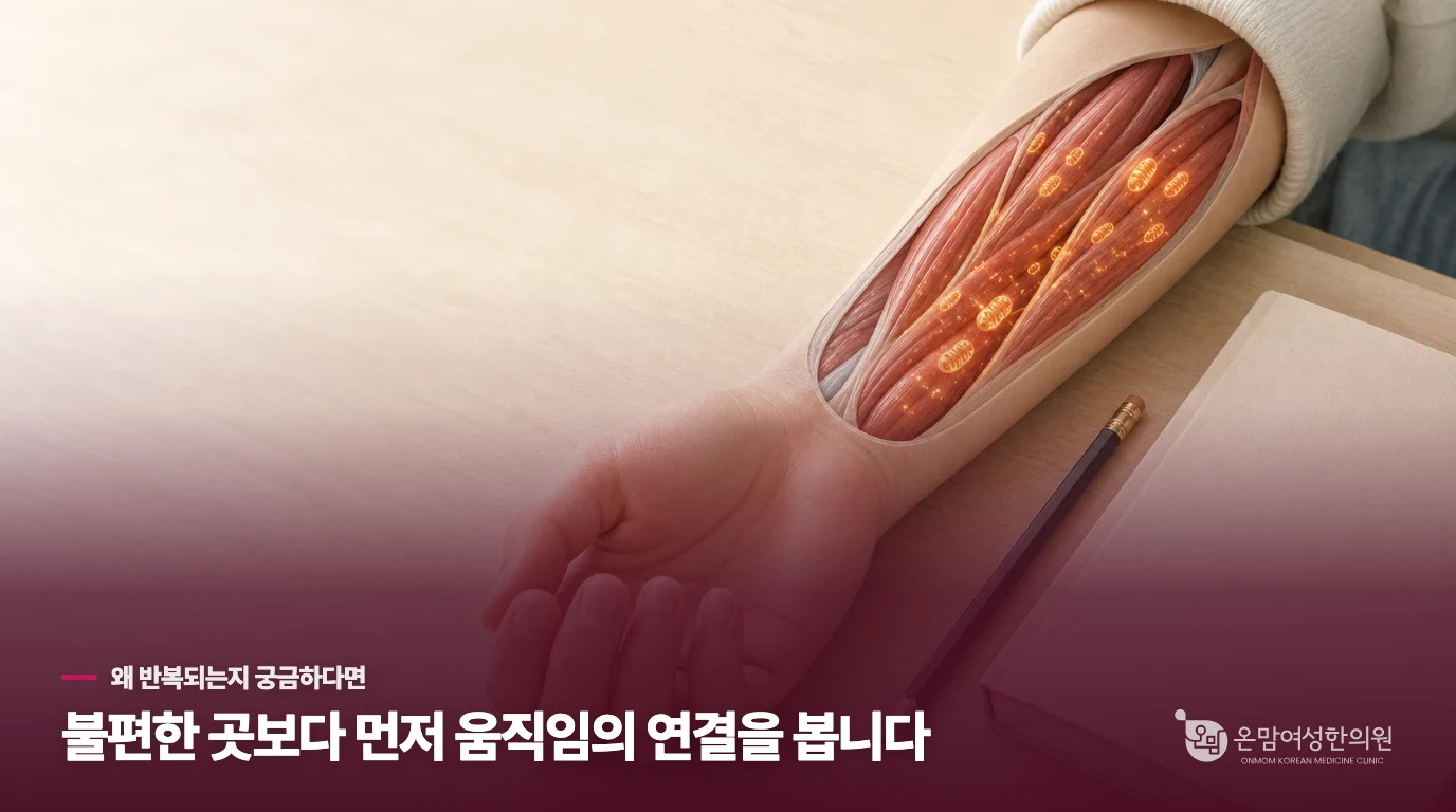 수험생보약이 단순히 기운을 돋우는 것과 다른 이유는 무엇일까요.