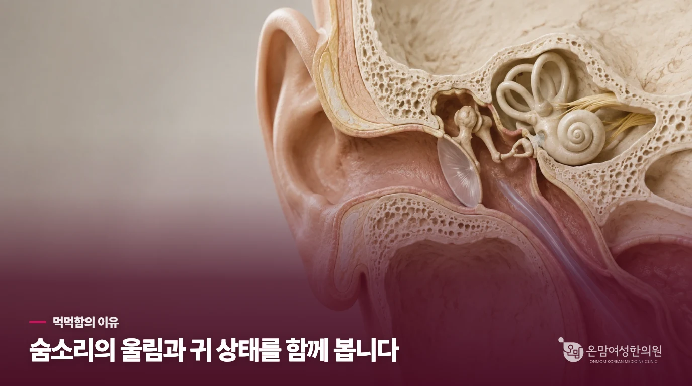 귀가 먹먹한데, 통로가 열린 것인지 막힌 것인지