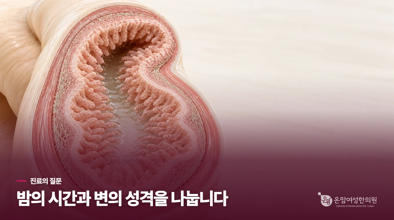 진료실에서는 밤의 시간과 변의 성격부터 좁혀 묻습니다