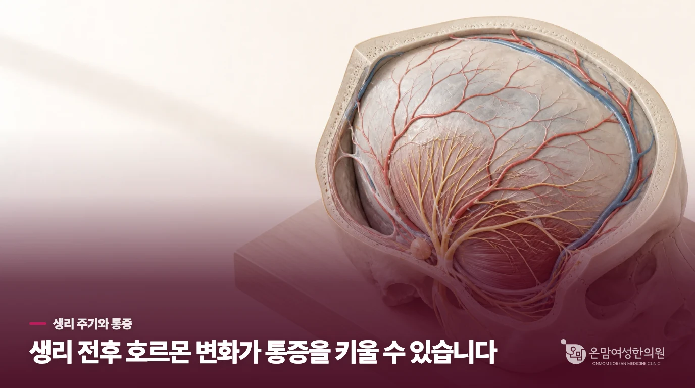 생리 전후에 왜 머리 통증이 더 길어질까요?