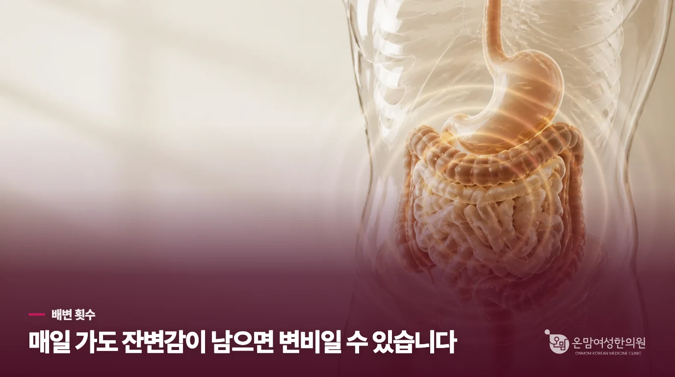 매일 가도 변비로 느껴지는 이유는 무엇일까요?