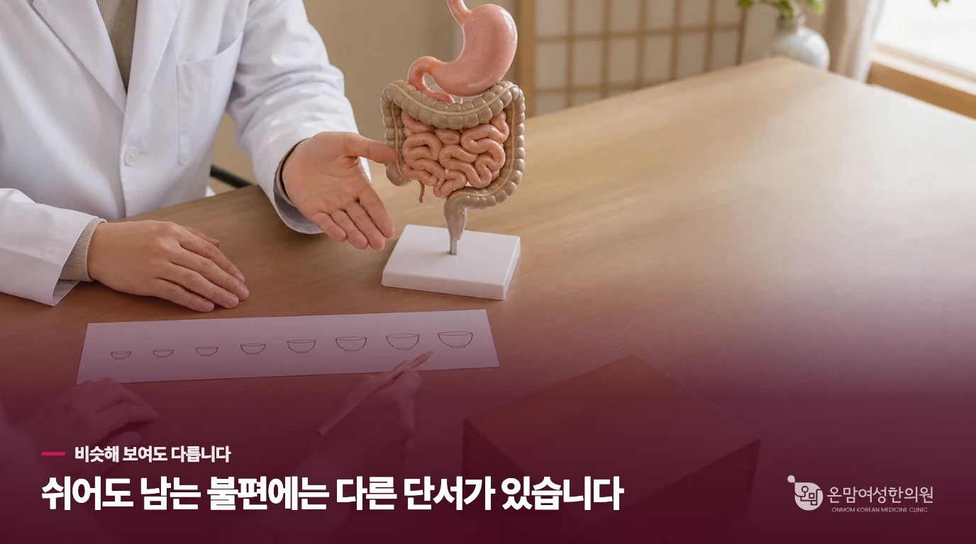 배는 고픈 것 같은데 막상 숟가락을 들면 입맛이 뚝 떨어져요, 왜 이런 차이가 생길까요?