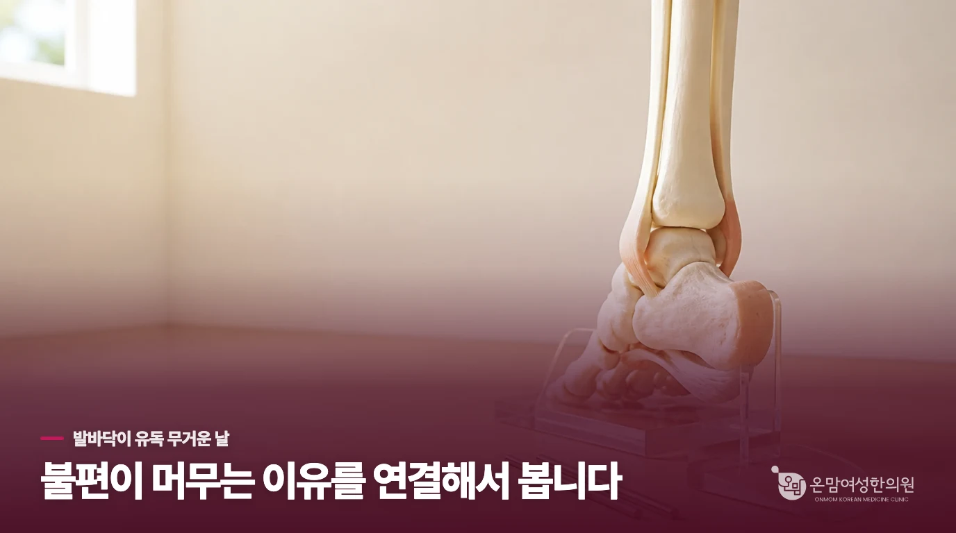 습열濕熱이 발바닥에 머무는 구체적인 이유.