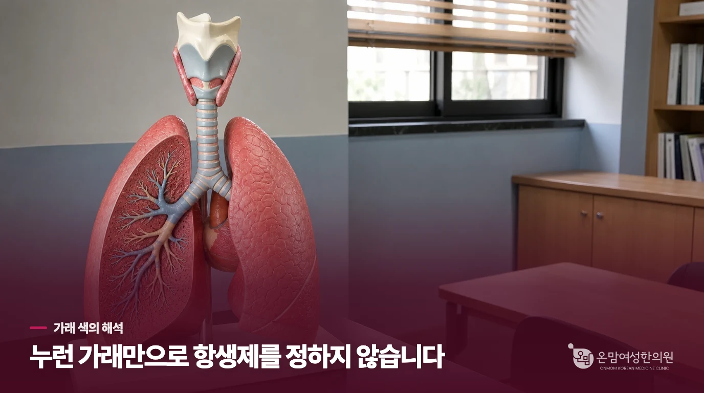 누런 가래가 세균 감염을 뜻하지 않는 이유
