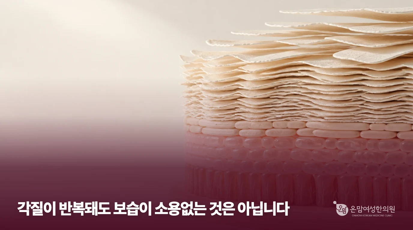각질이 겹쳐진 모습을 설명하는 피부 층 모형