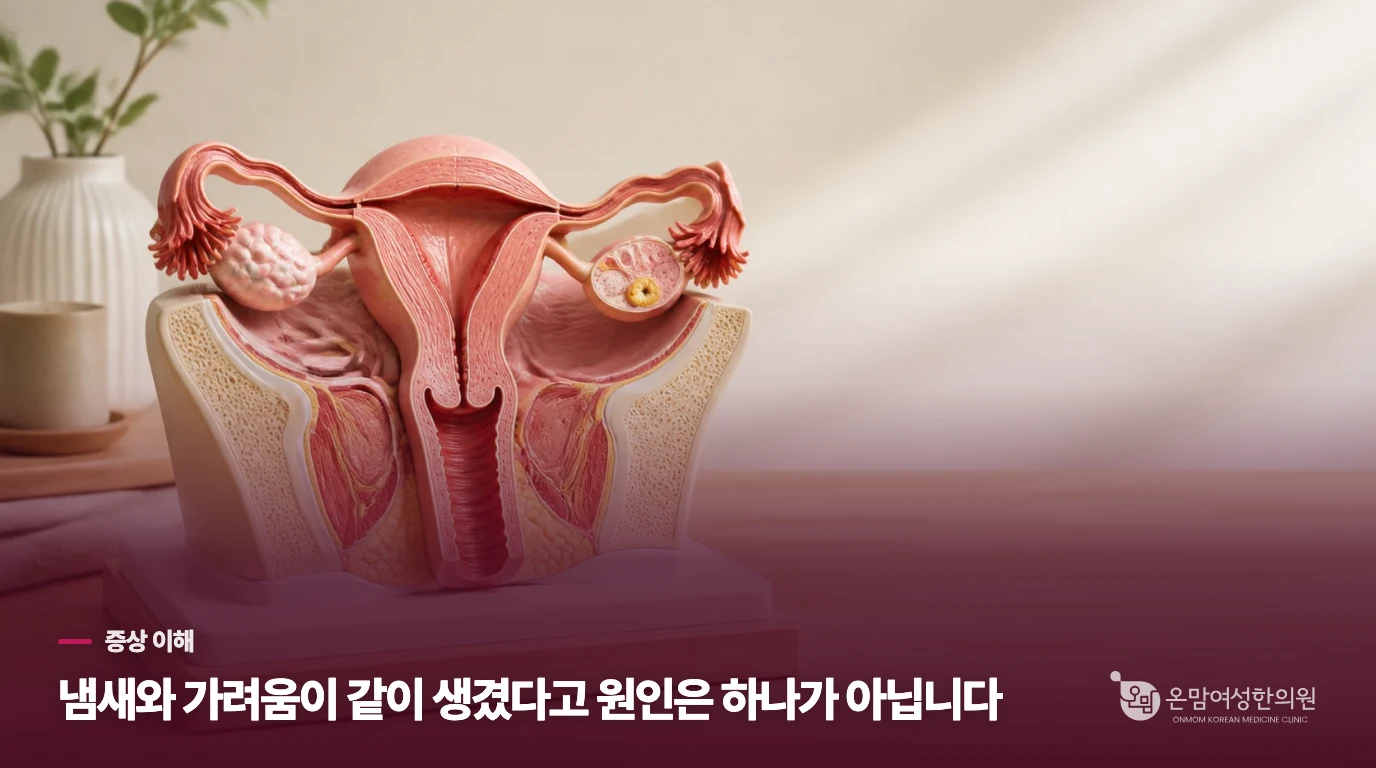 냄새와 가려움이 같이 생겼다고 원인은 하나가 아닙니다