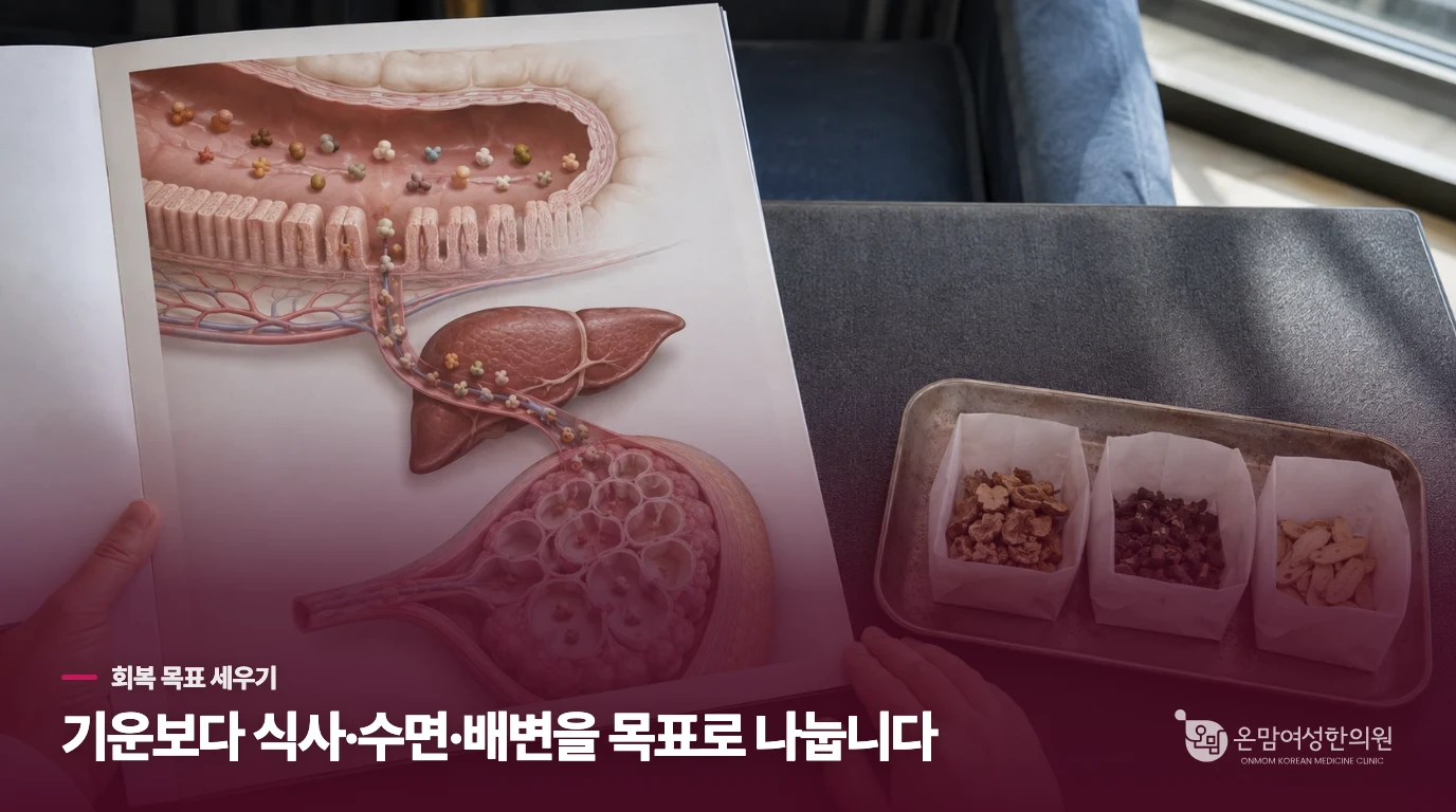 ‘기운 회복’을 식사·수면·배변의 변화로 좁혀 보세요