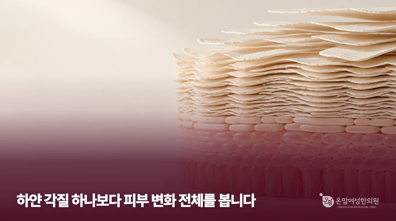 각질이 겹친 모습을 설명하는 피부 층 모형