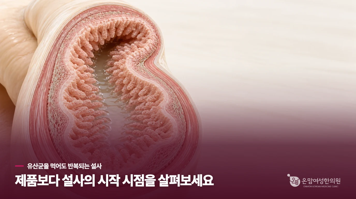 유산균을 먹어도 설사가 반복되는 이유는 따로 있습니다