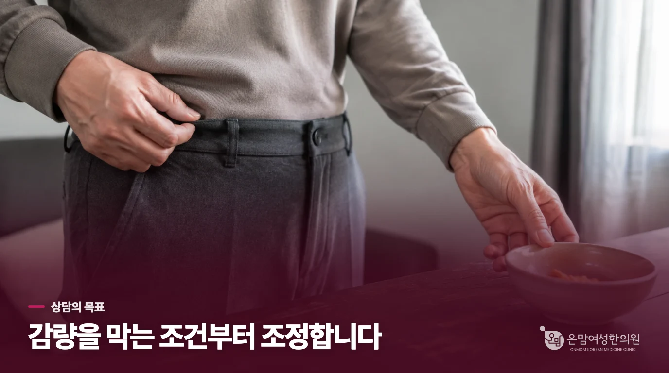 다이어트환 상담에서 실제로 조정하는 것은 무엇인가요?