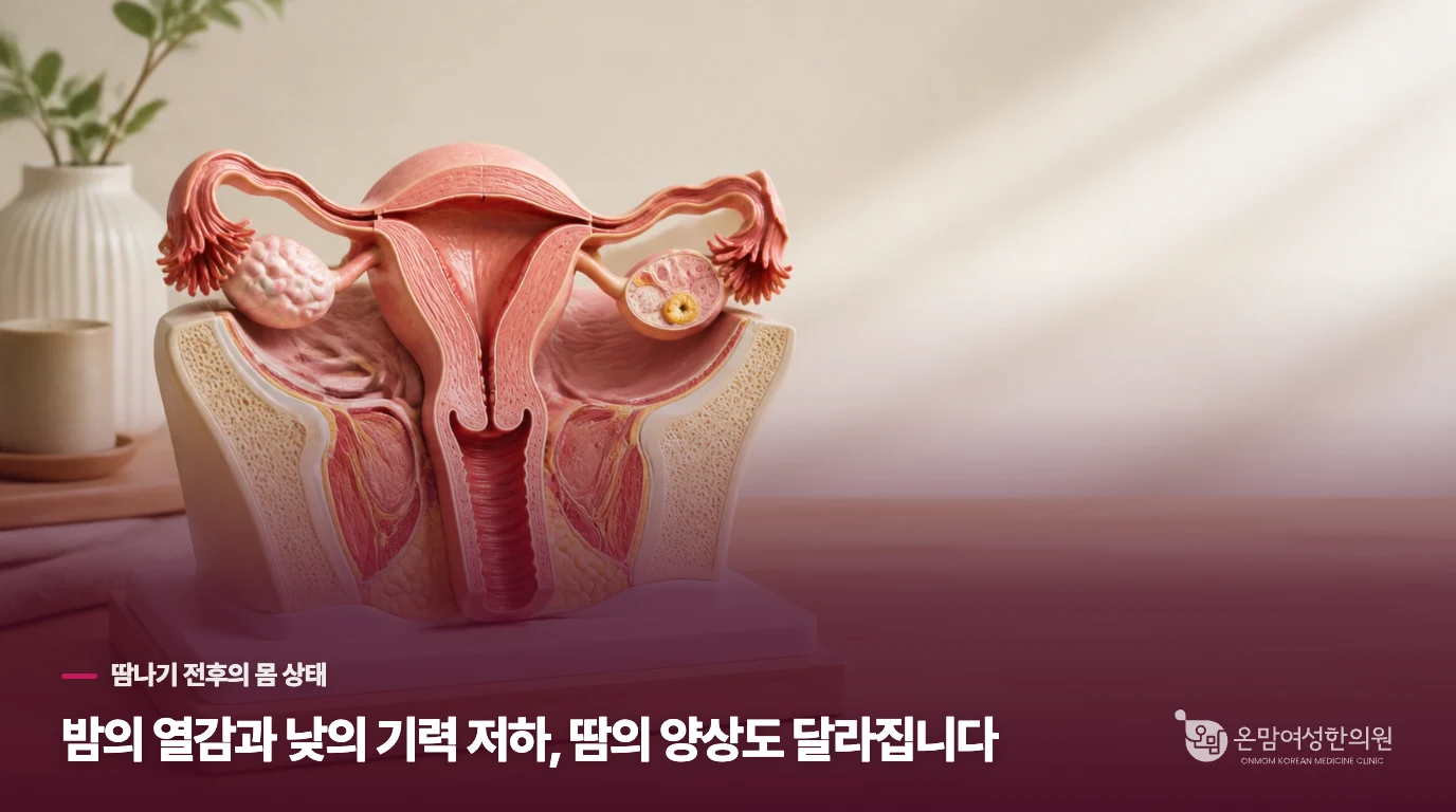 밤의 열감과 낮의 기력 저하, 땀의 양상도 달라집니다